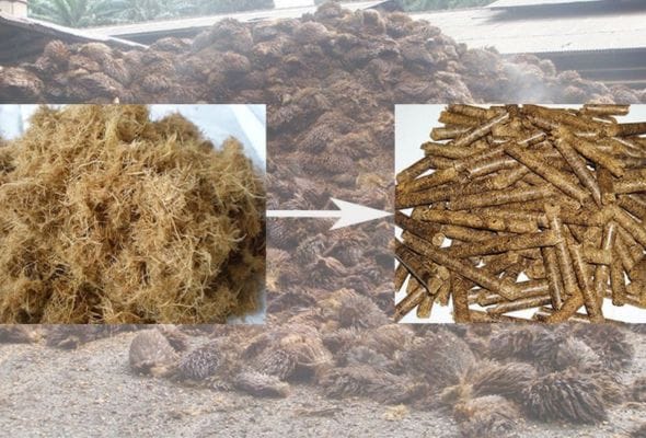 EFB Pellet Stockpile